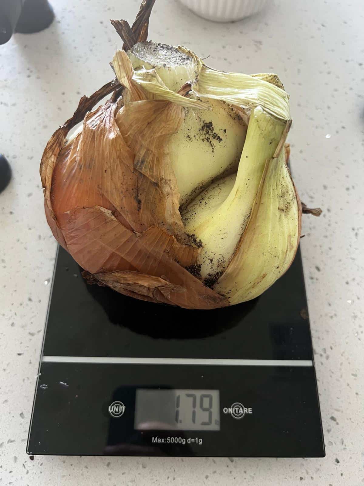 044434dd-5c16-4fab-9d9a-cea72d7fa017