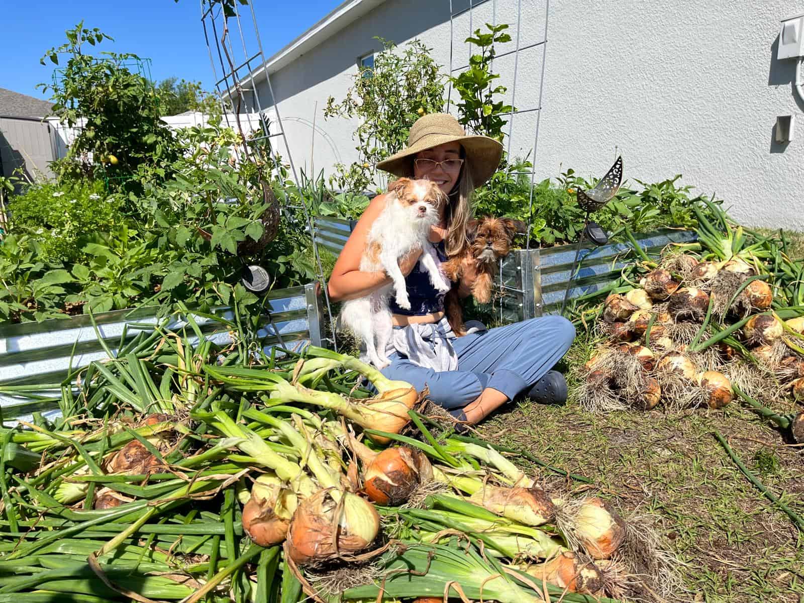 5cfef75d-4fa9-4a42-aae0-085a6371173b