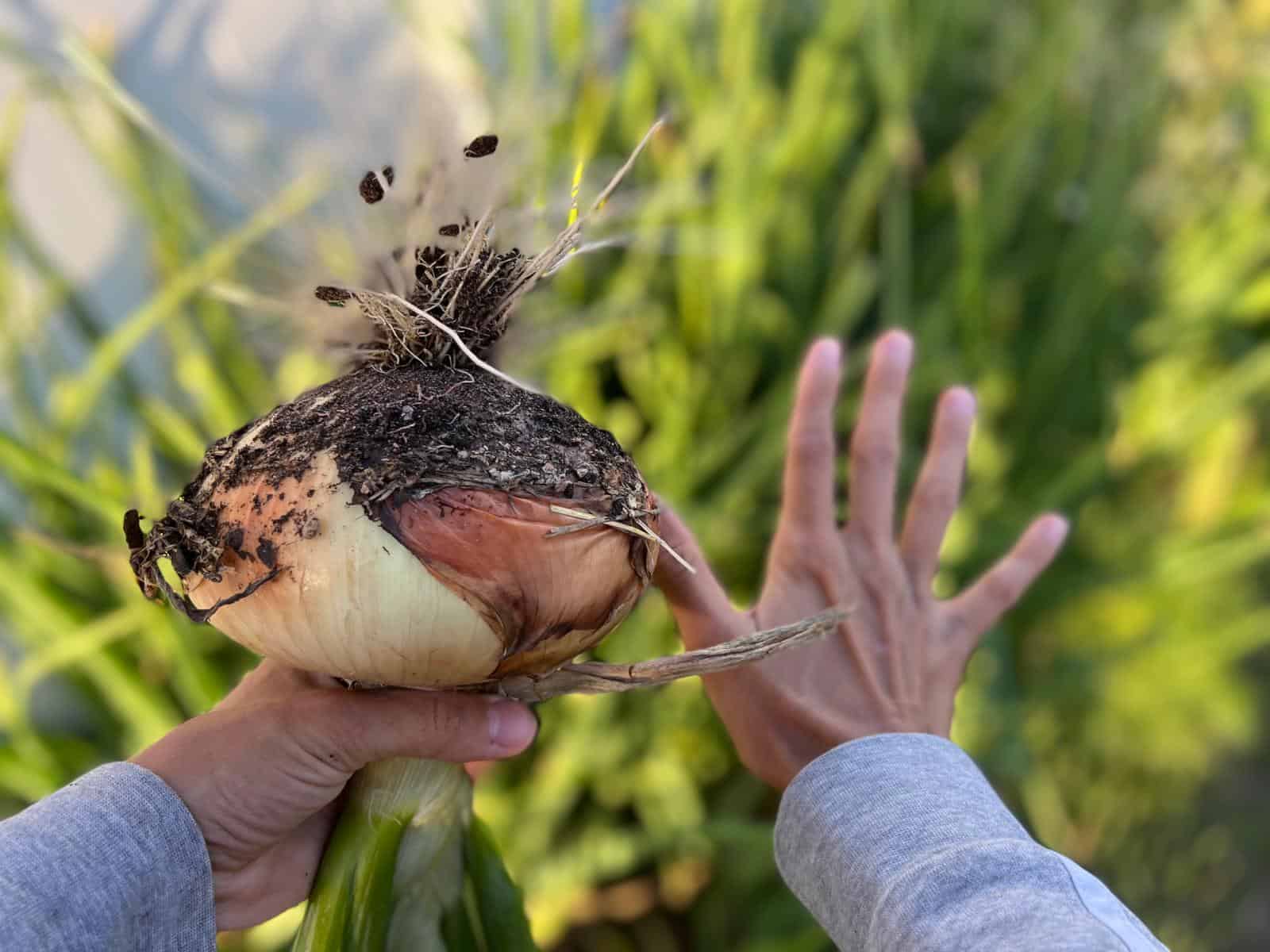 6362a02f-a377-4f6d-b199-6610f8c52d04