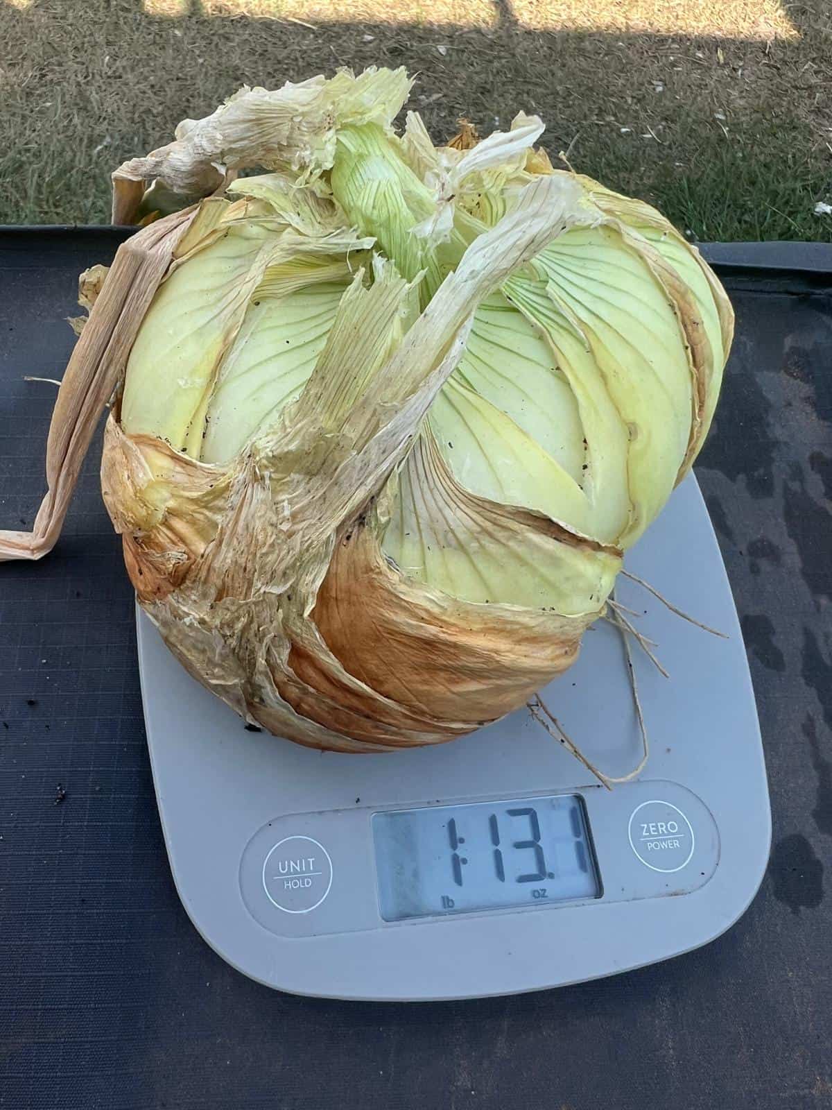 6731e664-e16a-4dfa-a2e6-7cea4e8c53a2