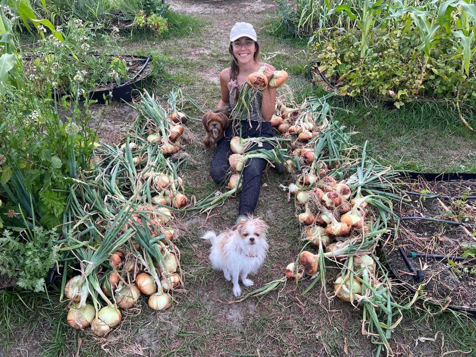 73c1dd0d-eec1-49fc-8eeb-c40e32b349da