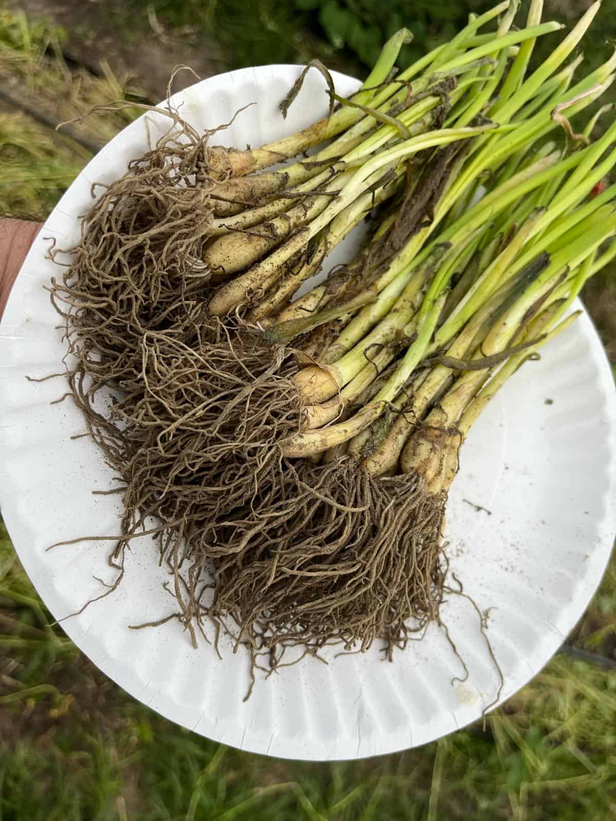 WhatsApp Image 2024-09-30 at 10.48.17 AM