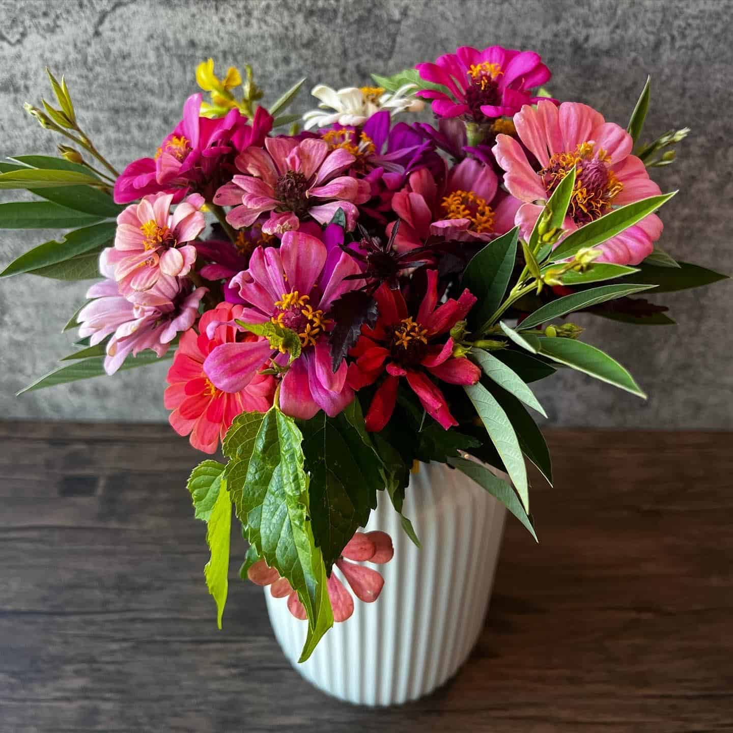 zinnia 3
