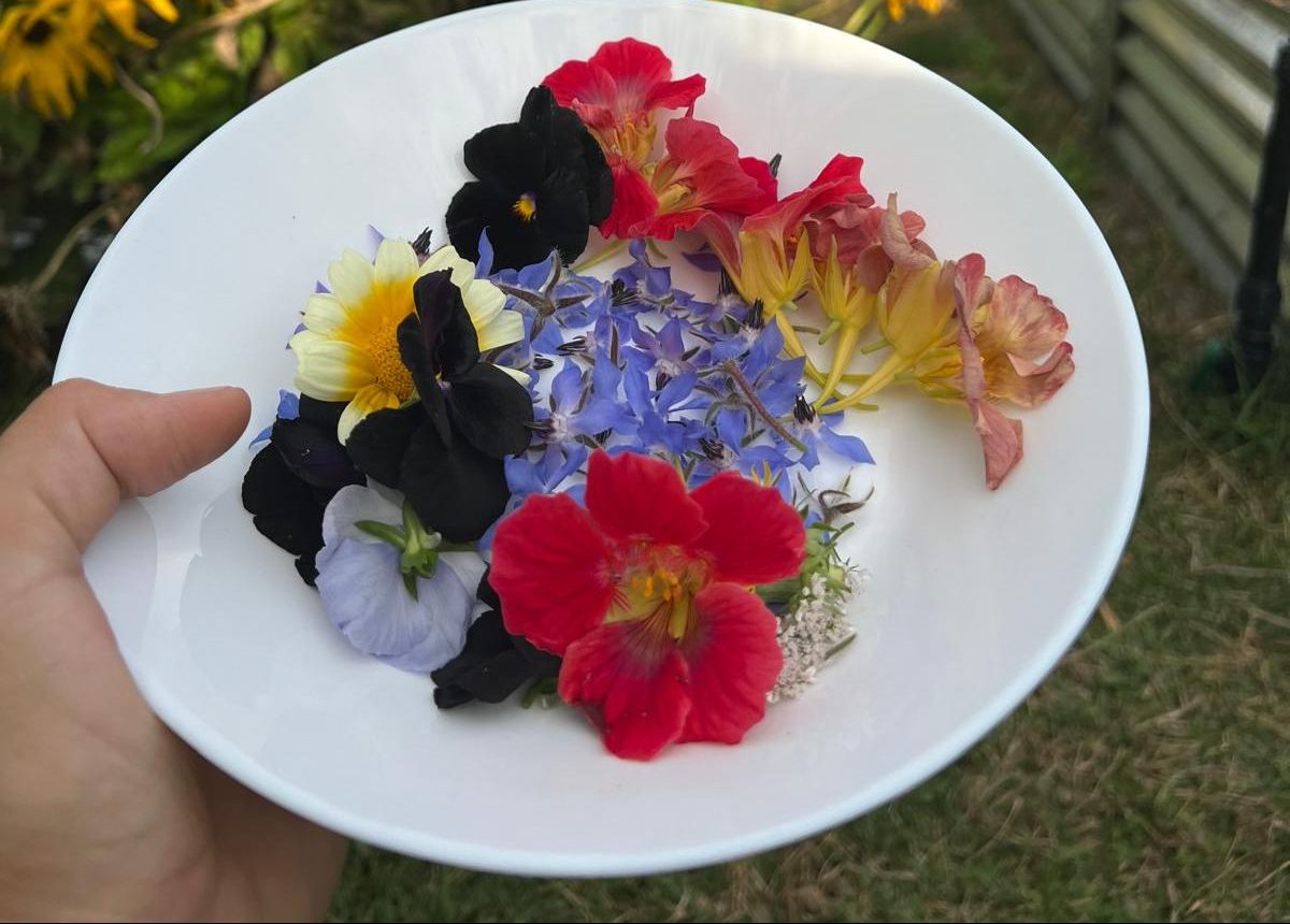 Petals You Can Eat: Growing Edible Flowers