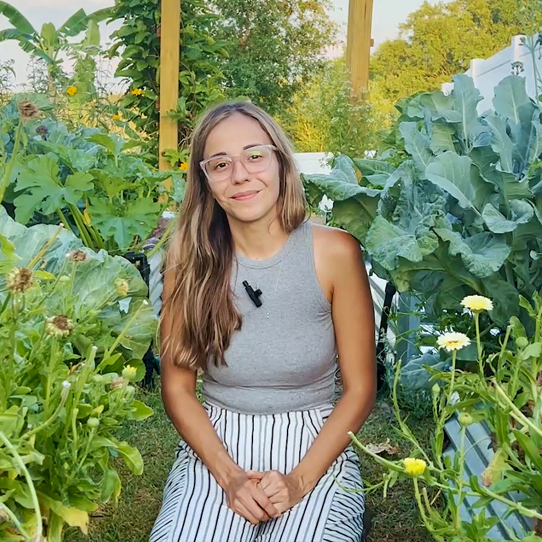 Easy to grow vegetables