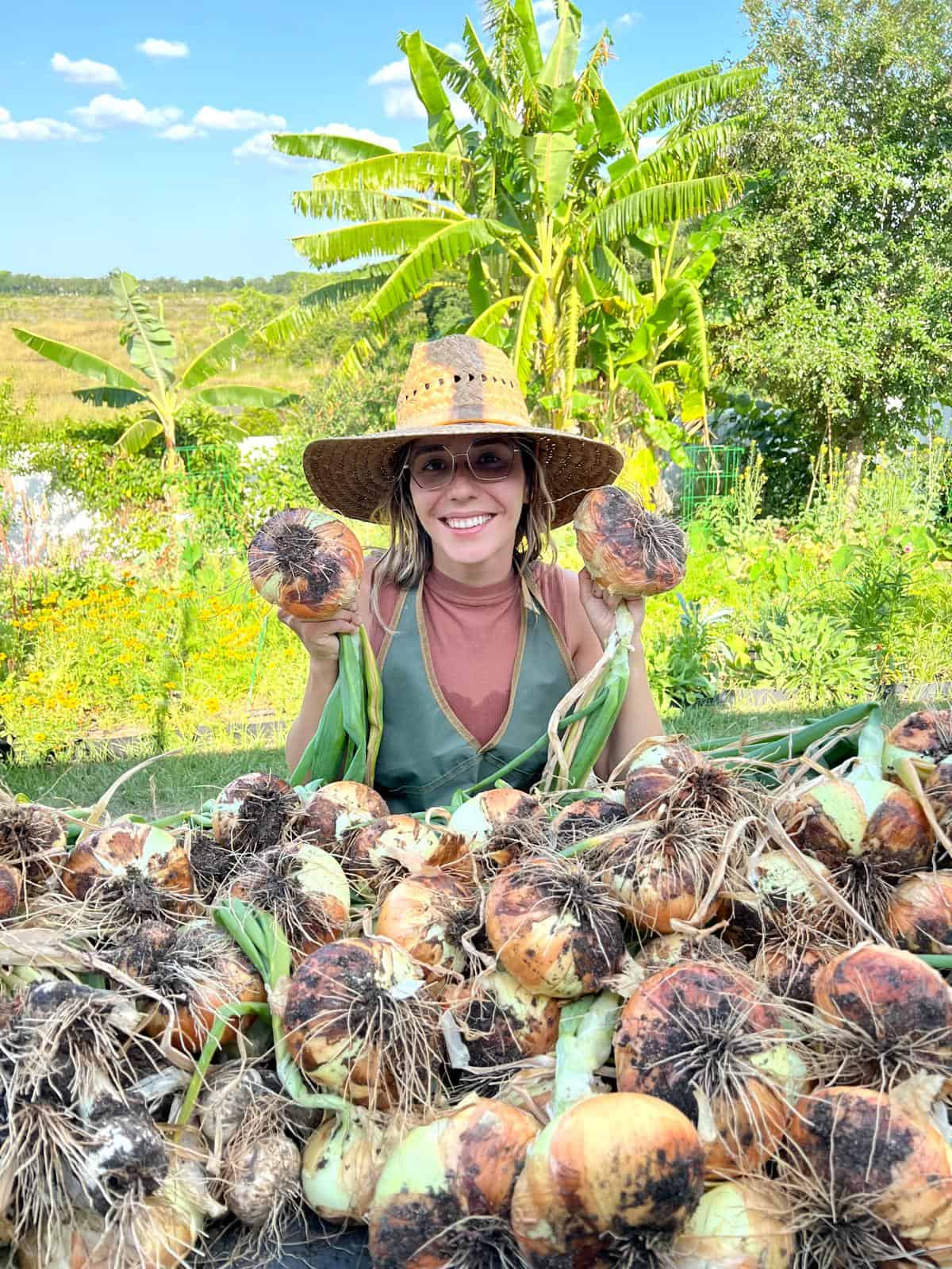 How to Grow Onions in Florida